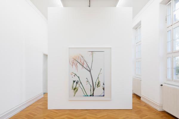 Stefan Burger Kunsthalle Bern 2017